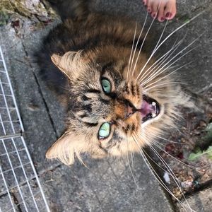 Meet your Posher, Olivia